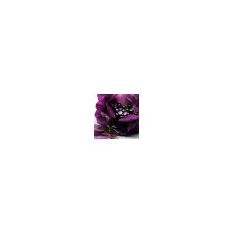LANCÔME La Nuit Trésor - Das Parfum 3614274068818